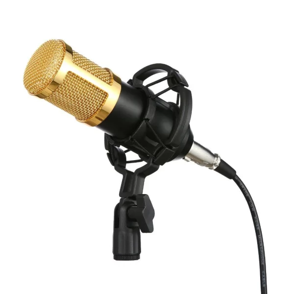 V8 Condenser Microphone