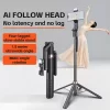 A101 Gimbal Tripod Extendable